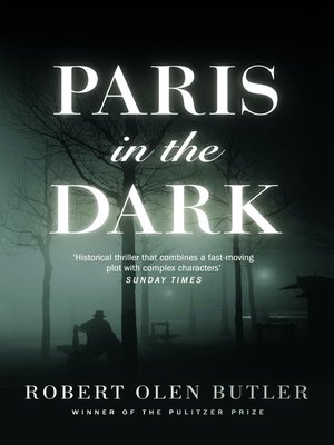 cover image of Paris In the Dark